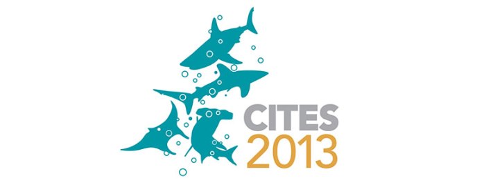 CITES conference takes decisive action to halt decline of tropical timber,  sharks, manta rays and a wide range of other plants and animals http://www.pewenvironment.org/news-room/fact-sheets/cites-2013-porbeagle-shark-85899426386