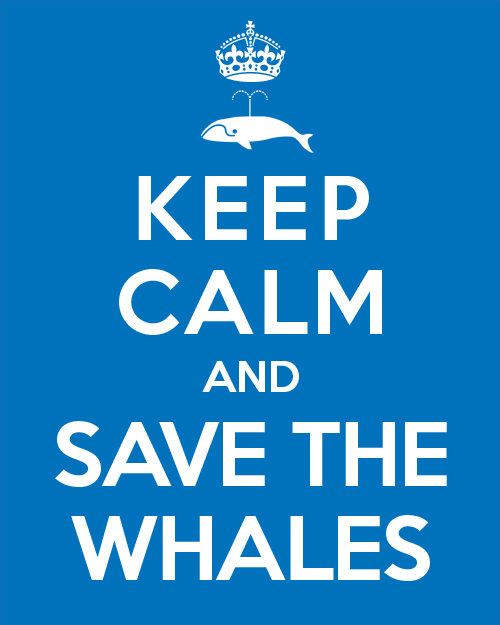Keep Calm and Save the Whales! Source: http://ichooseyoupikachuu.tumblr.com/post/36021744412