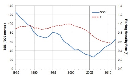 Fig. 1: The spawning stock biomass (SSB) and fishing mortality rate (F) of North  Sea cod from 1985 to 2012 (2011 for F). (Prior to the mid-1980s the  abundance of cod was influenced by the ‘gadoid outburst’ - see p. 4.) Source: I Napier (2013) Trends in Scottish Fish Stocks.  http://www.nafc.ac.uk/WebData/Files/Note%20-%202013-03-26%20-%20Trends%20in%20Fish%20Stocks.pdf